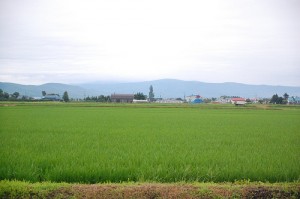 100坪の土地をタダでもらう方法