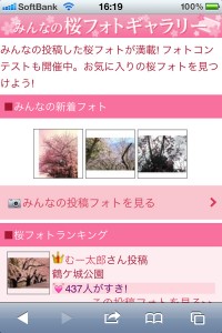 FacebookとGoogleマップで花見を楽しむ