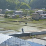 のど​かな田園風景