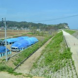 陸中野田駅を過ぎトンネルを抜けると、風景が一変