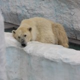 上野動物園