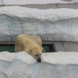 上野動物園