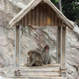 上野動物園