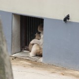 上野動物園