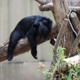 上野動物園