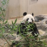 上野動物園