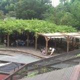 上野動物園