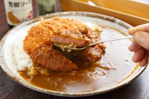 CoCoだけシカ食べられないカレー