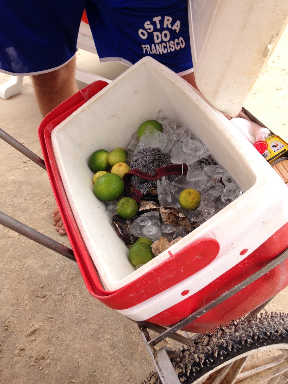 ブラジル流「ビーチの楽しみ方」