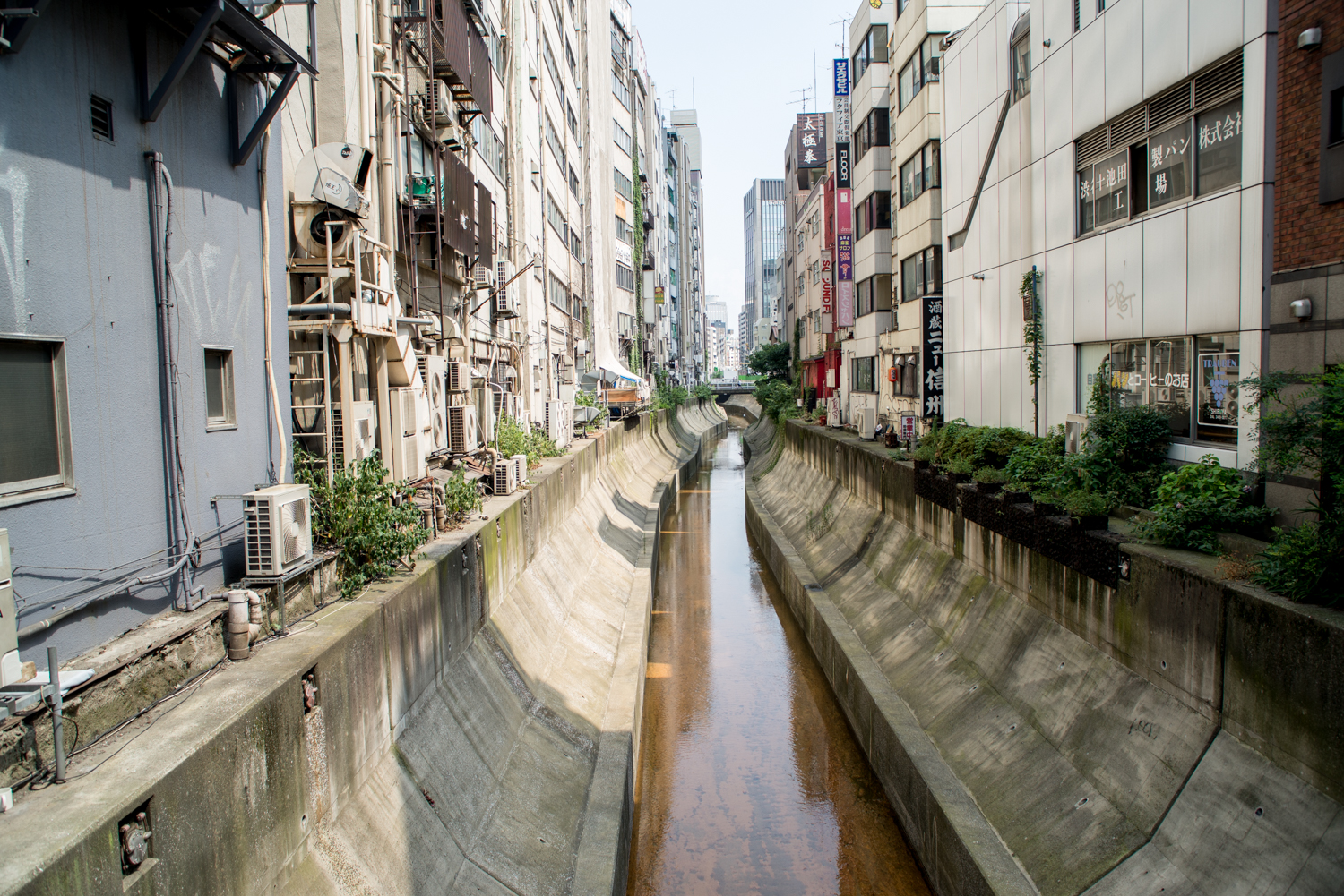 渋谷川