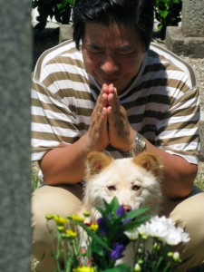 義 実家 ペット セール 亡くなっ た