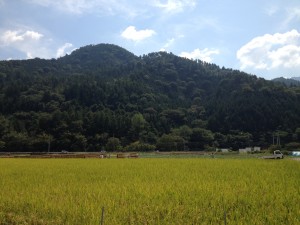 ぼっち村周辺に広がる、“THE 田舎”然とした田園風景