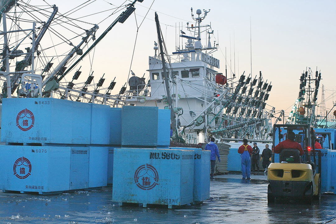 日本の乱獲が原因で減ってしまった魚たち