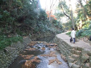 新宿御苑