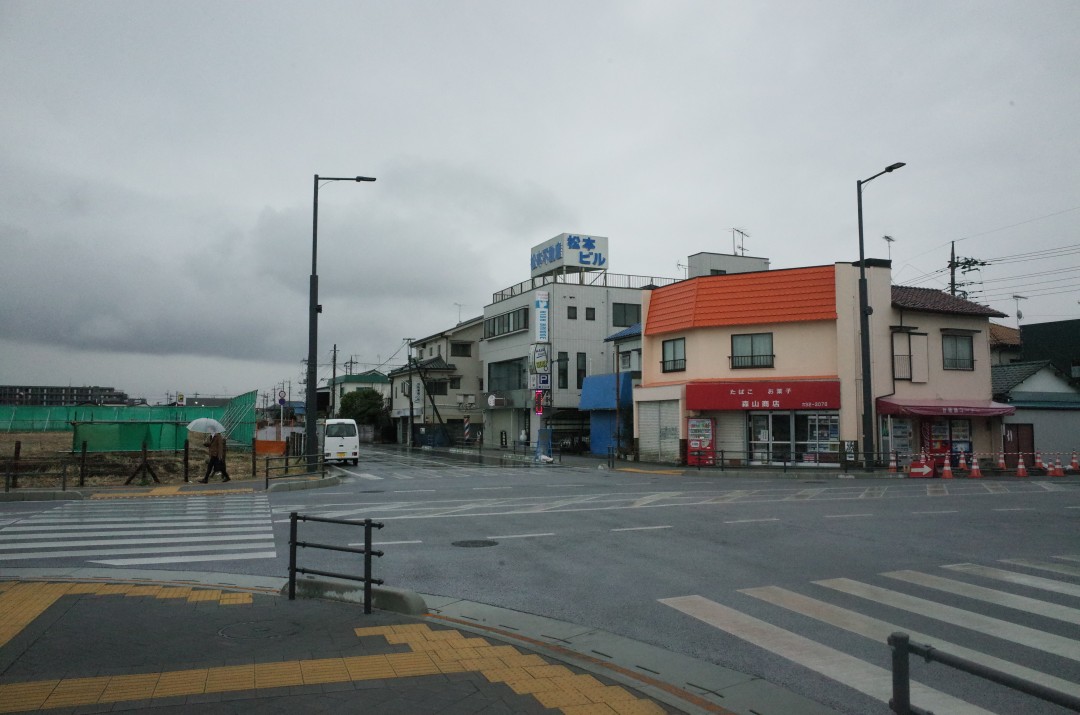 実際に住むとなると犠牲も多いだろう