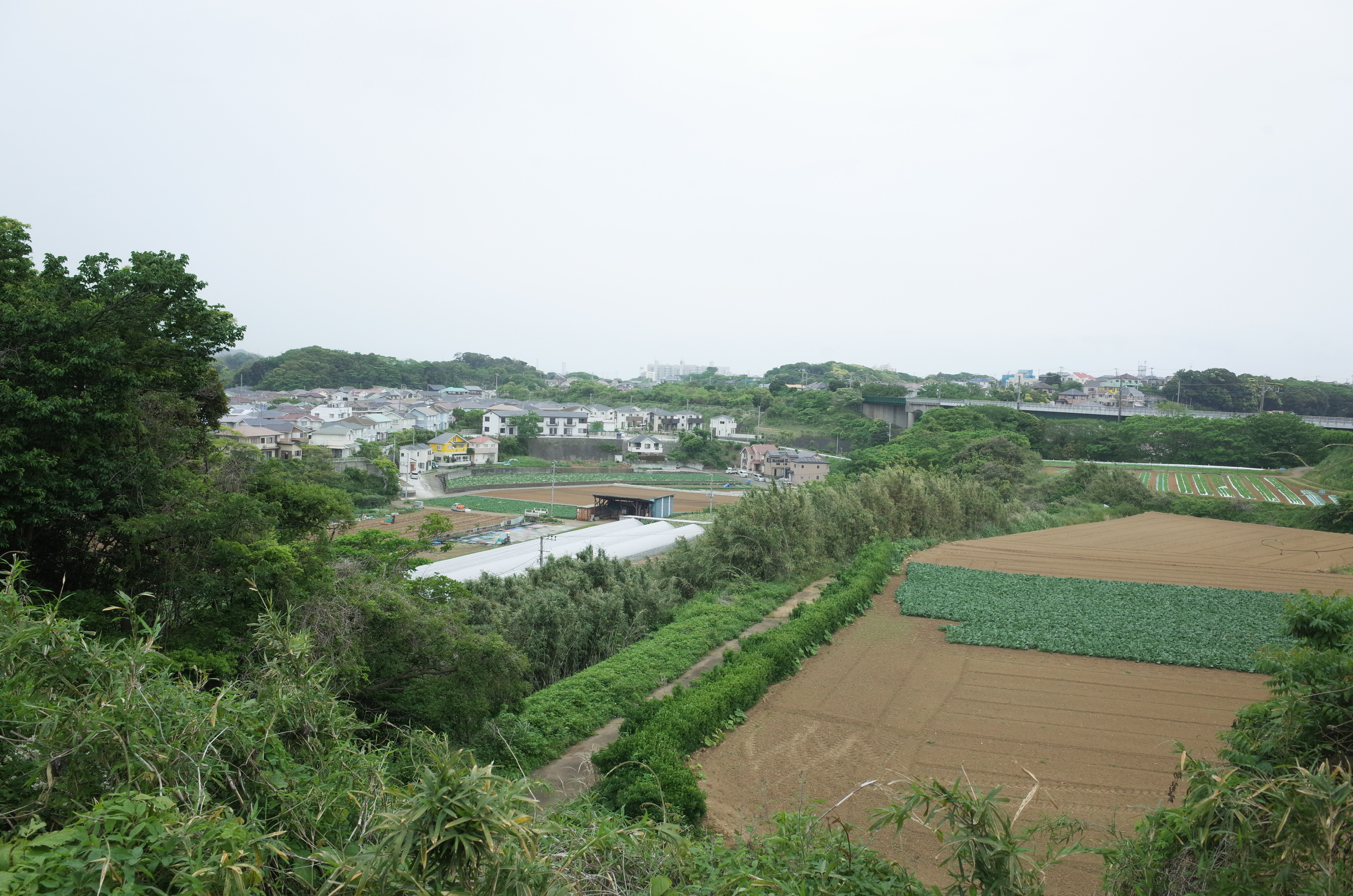 三崎口：中心地まで4キロ、起伏激しく車必須