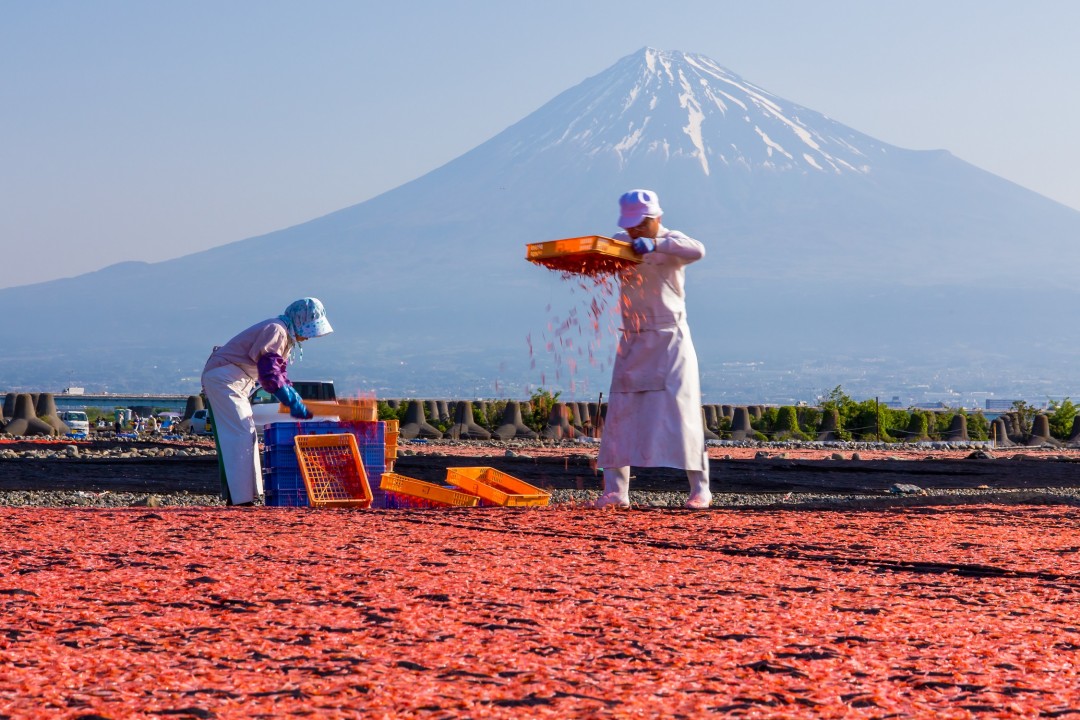 富士山