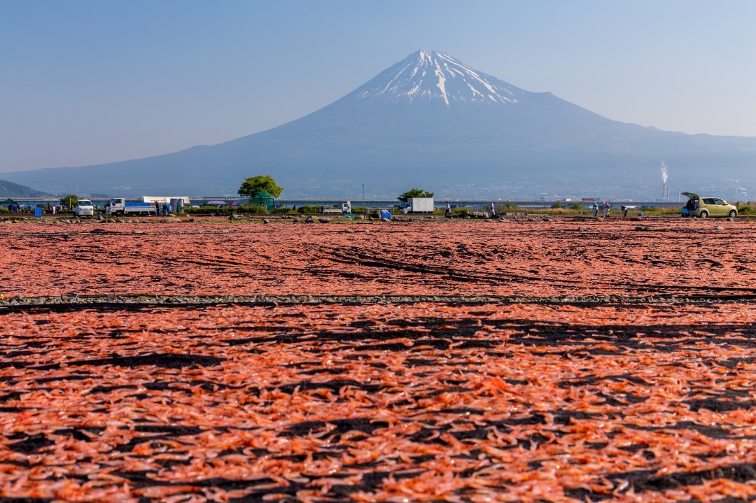 富士山