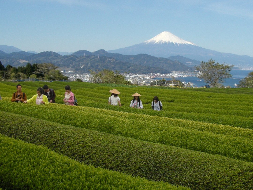 富士山