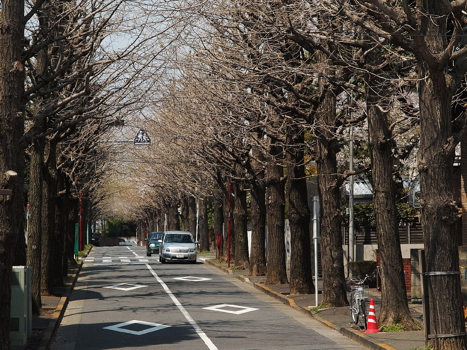 田園調布