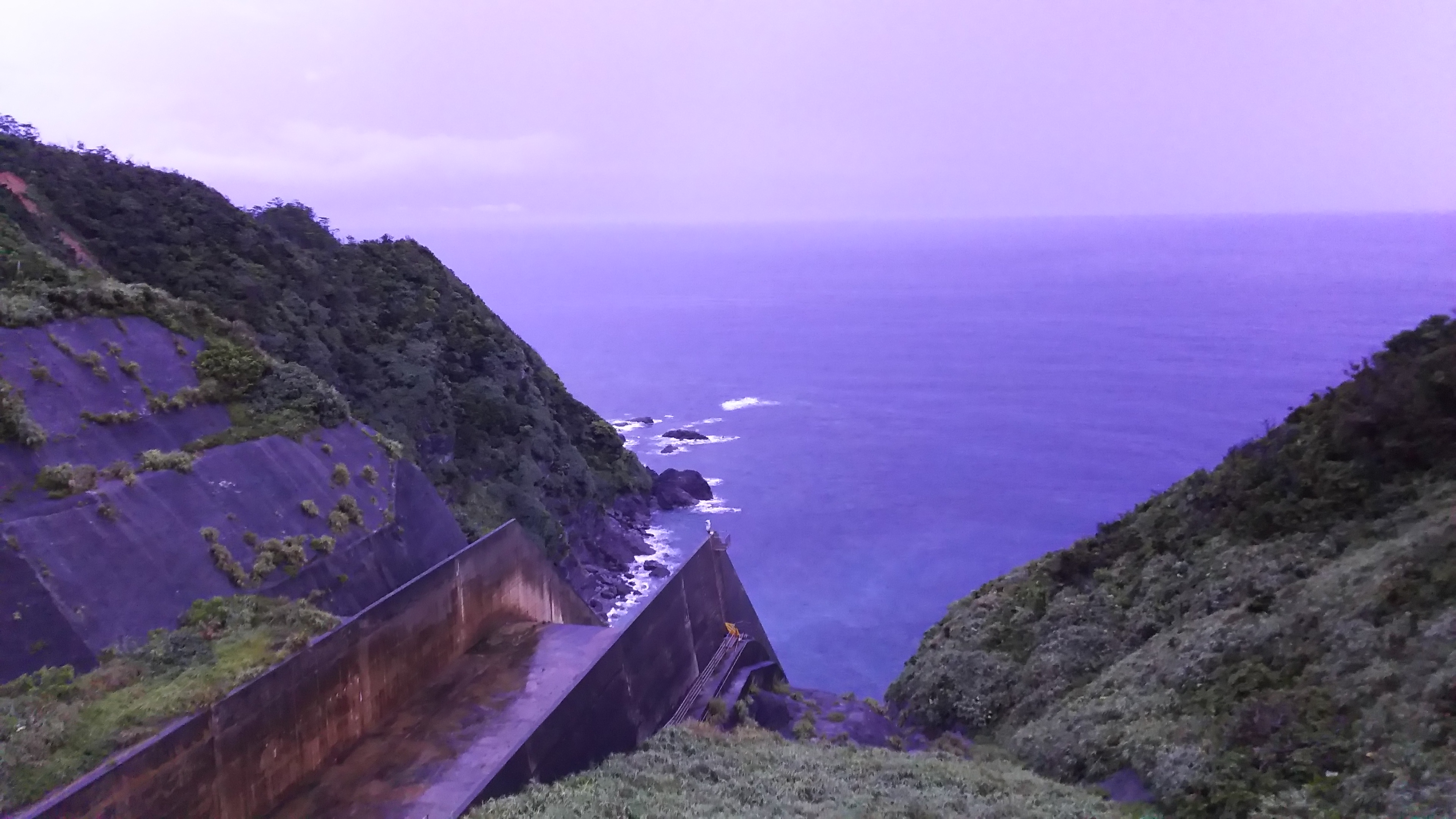 香山リカが「沖縄差別」を考えるため高江に向かった【中編】