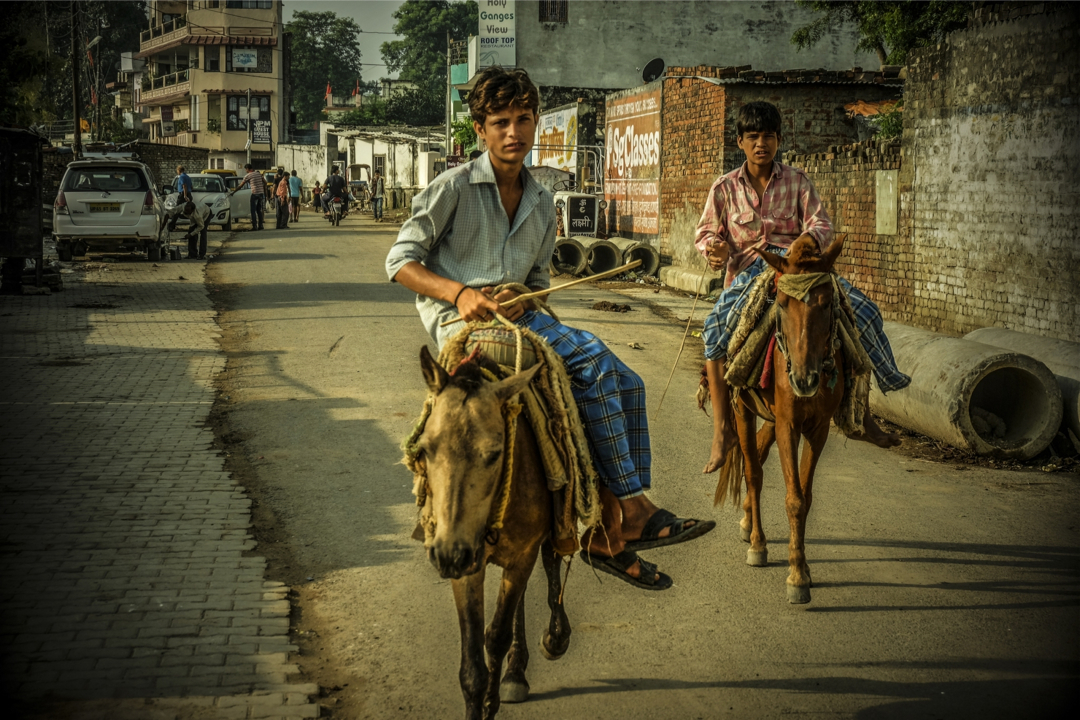 インド人は全員悪人!? 旅人の定説を検証してみた