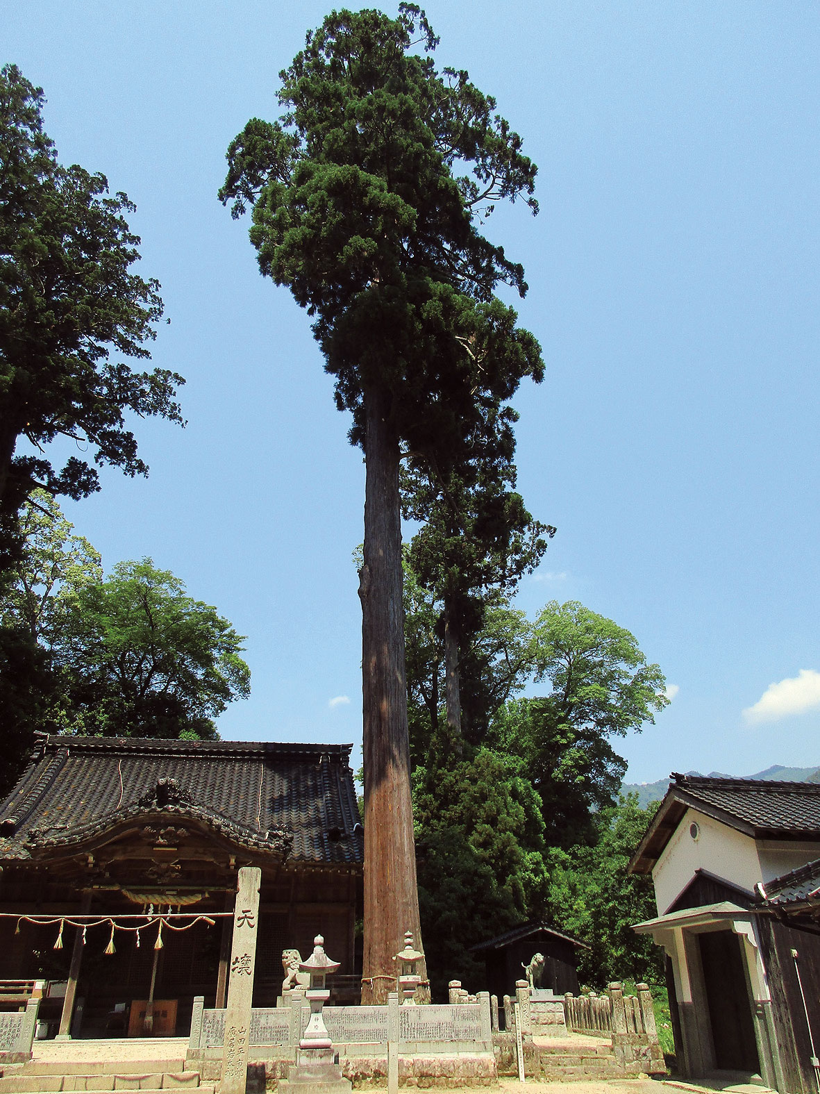 与位の洞門