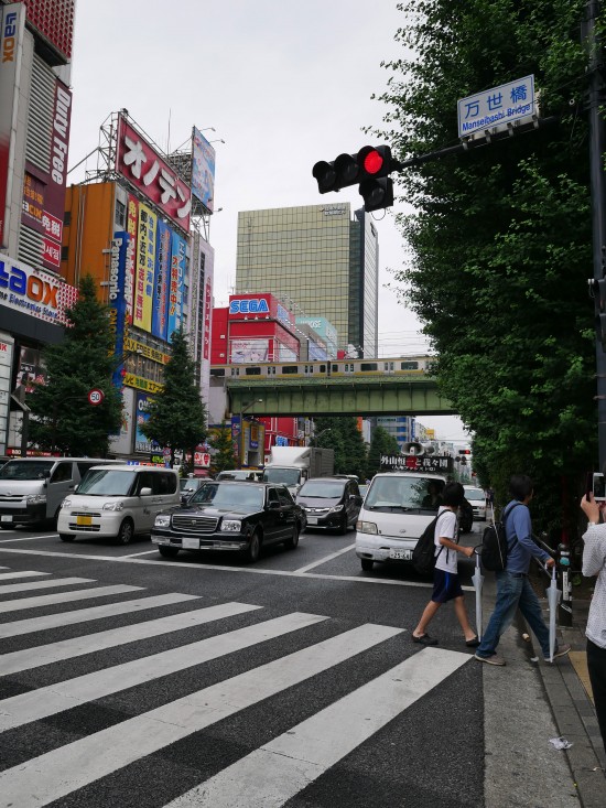 「共謀罪をものともせず」自称テロリスト・外山恒一が都内を街宣中