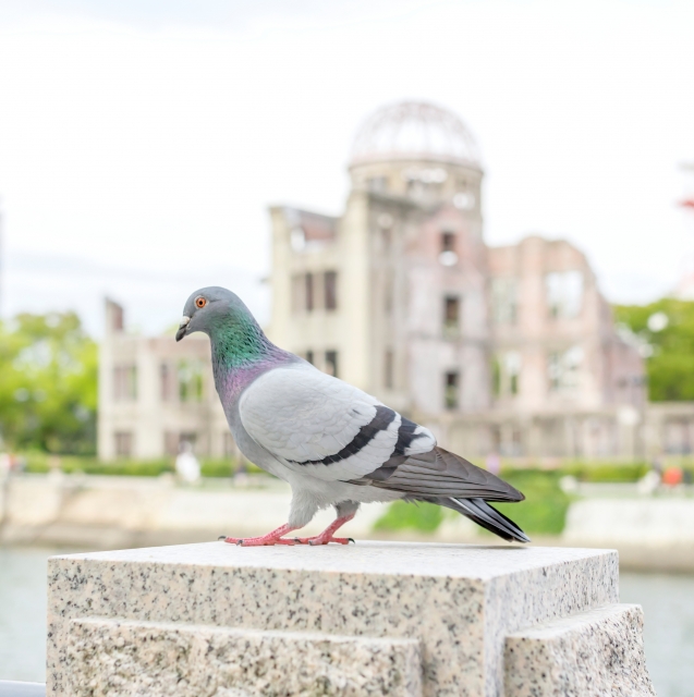 原爆は落とされたほうが悪いのか？ 北朝鮮と中国の核に対抗する議論を【評論家・江崎道朗】