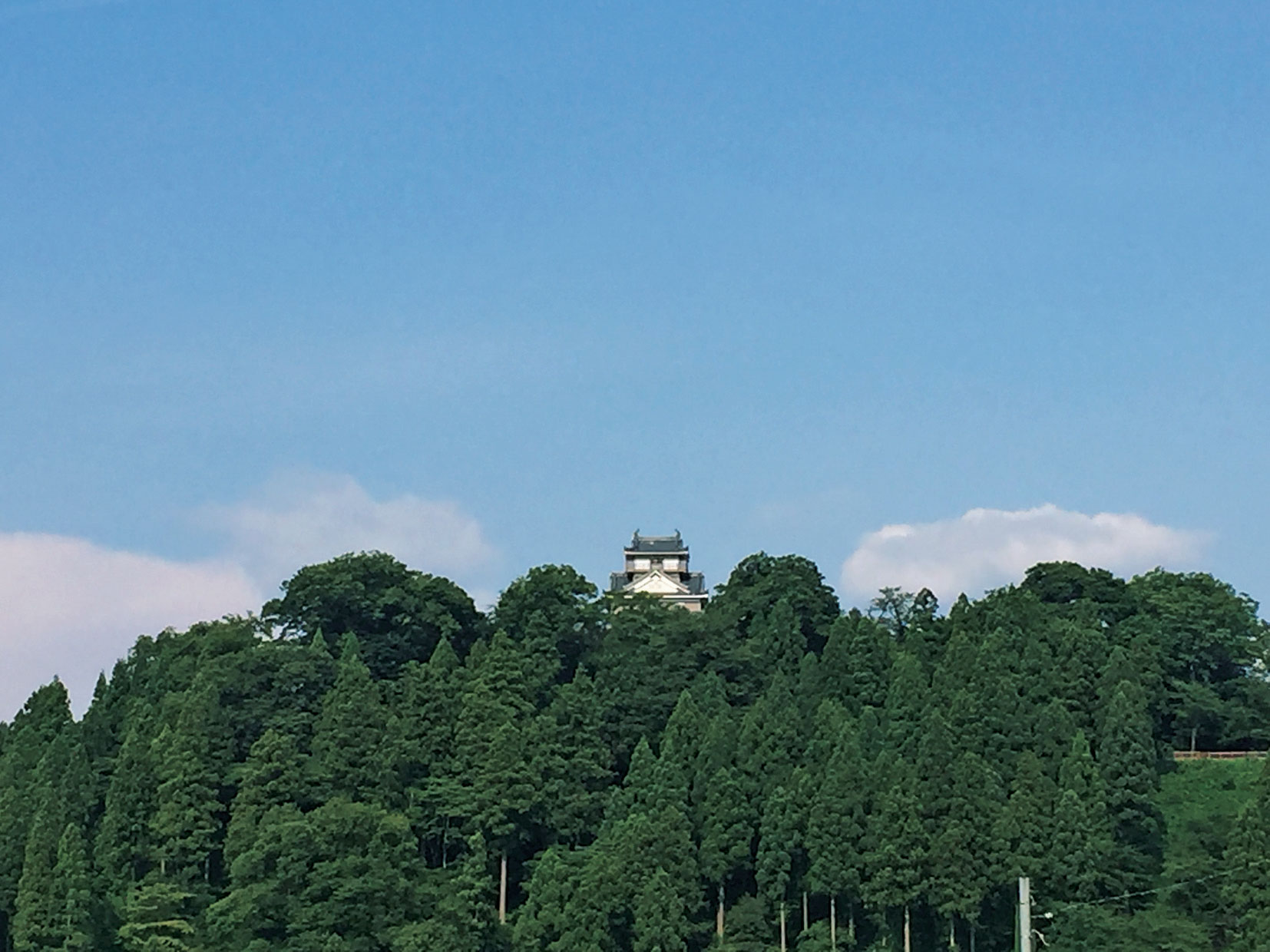 犬山から望む越前大野城