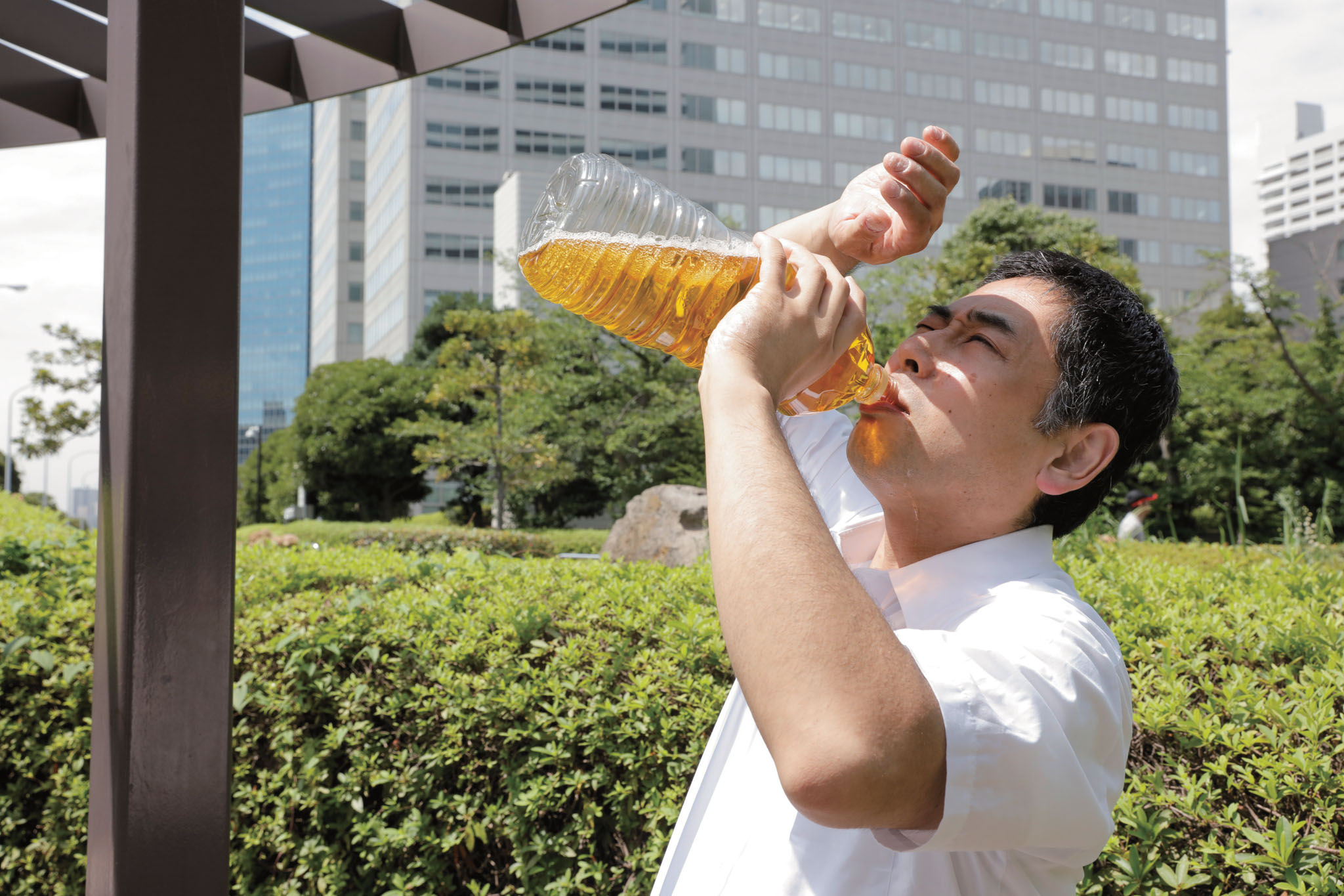 茶カテキン飲料