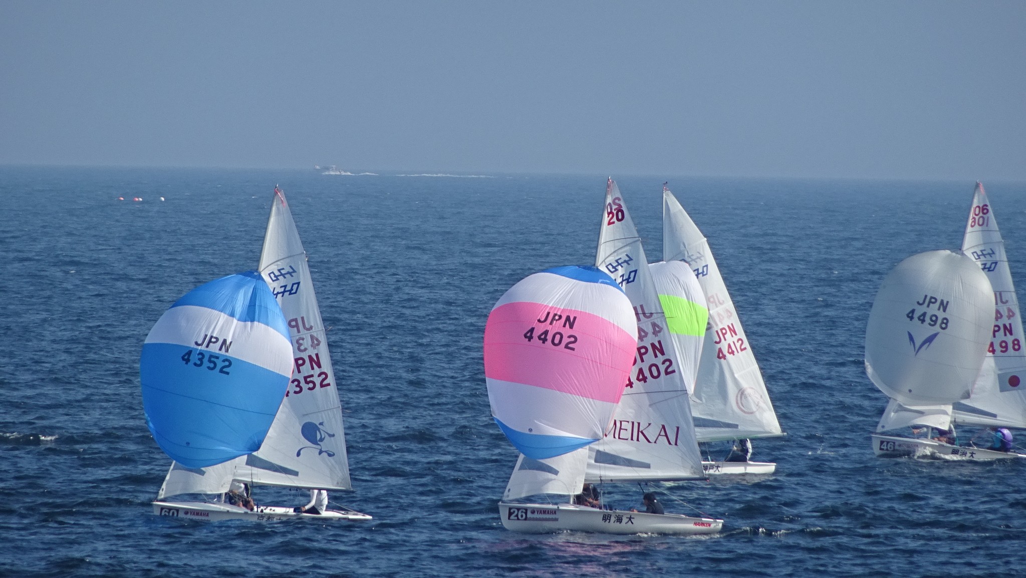 初心者は要注意！五輪競技セーリング現地観戦の落とし穴