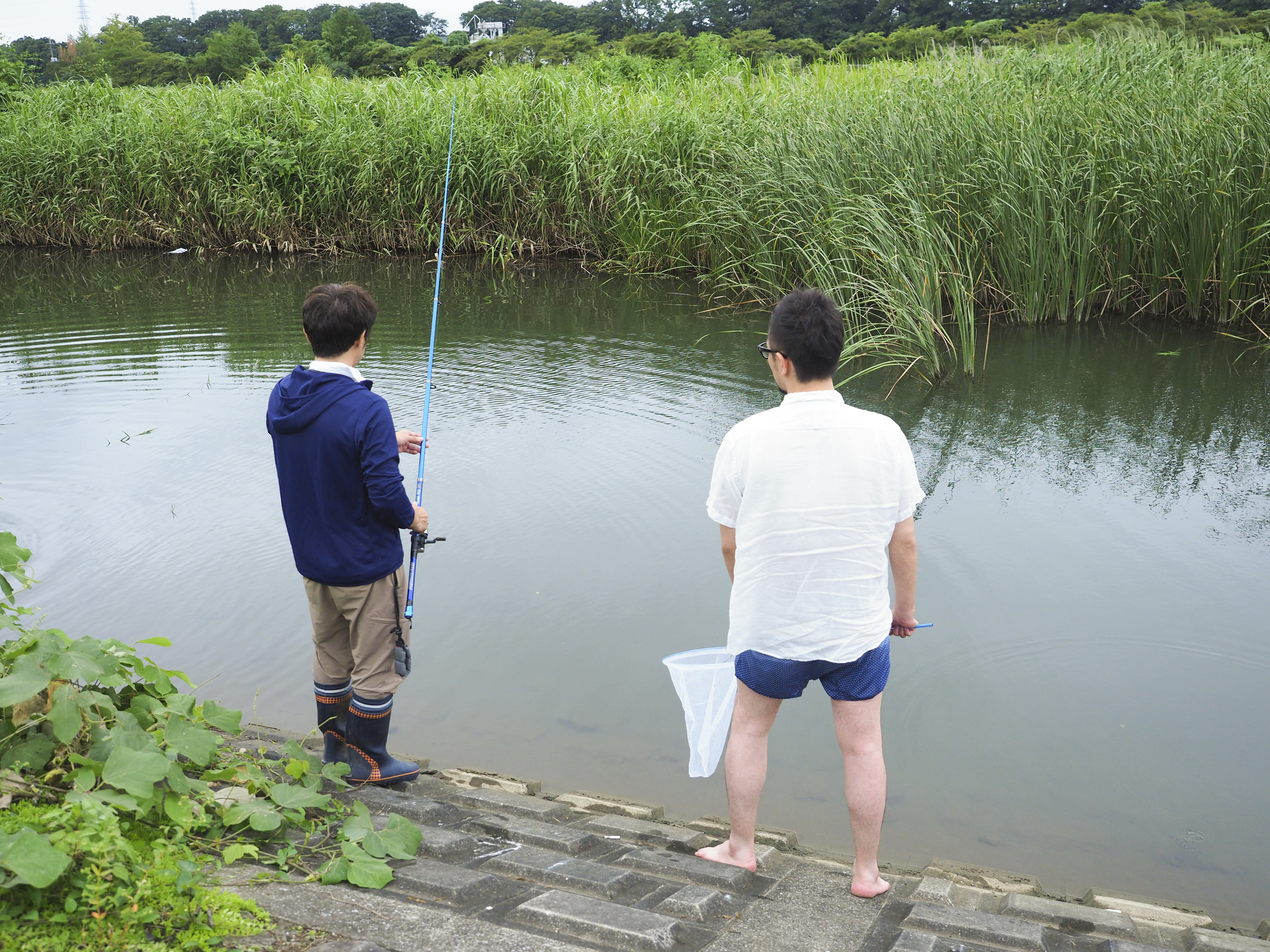 釣る