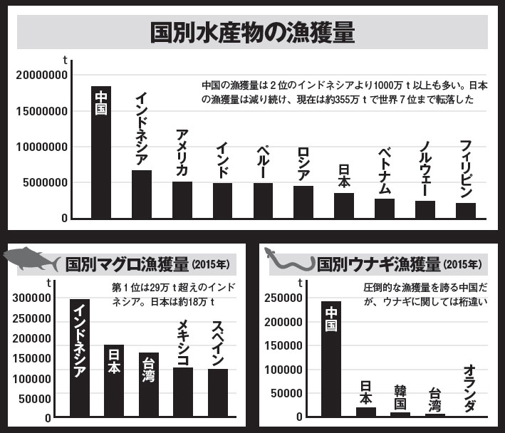 漁獲量グラフ