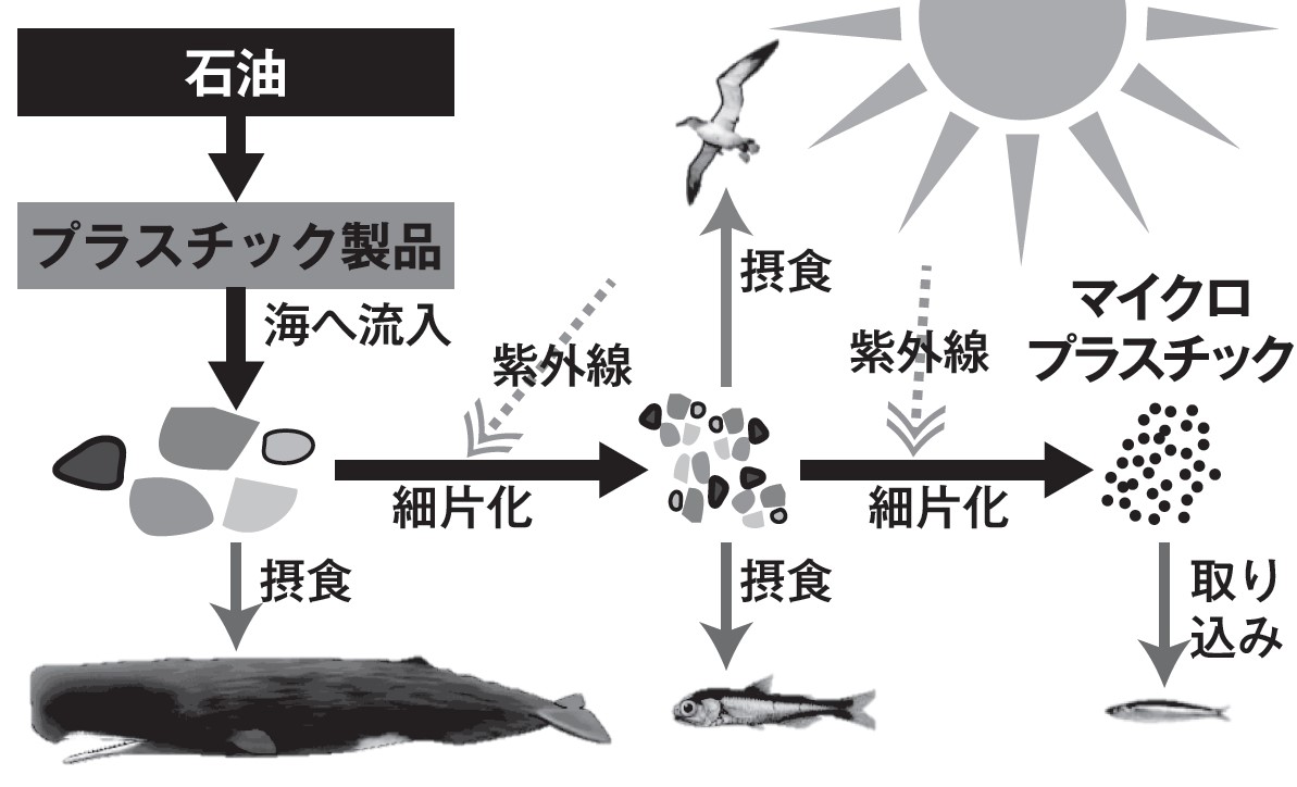 海に流れ込むプラスチック