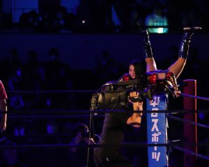 豆腐プロレス The REAL 2018 WIP QUEENDOM in 愛知県体育館