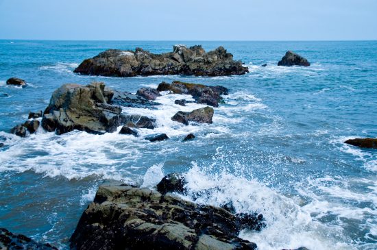 密漁が日本の海を殺す