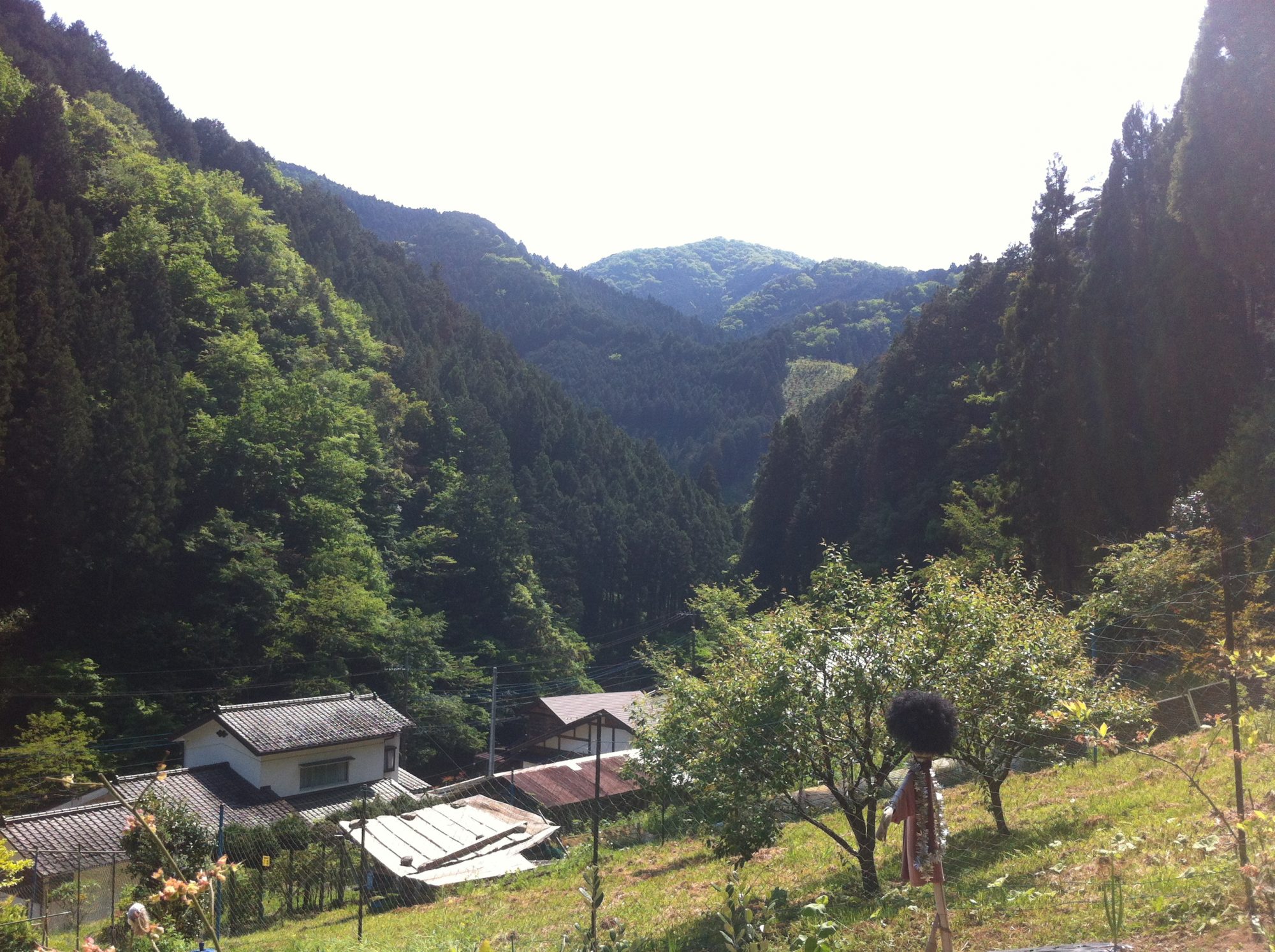 限界集落のぼっち村