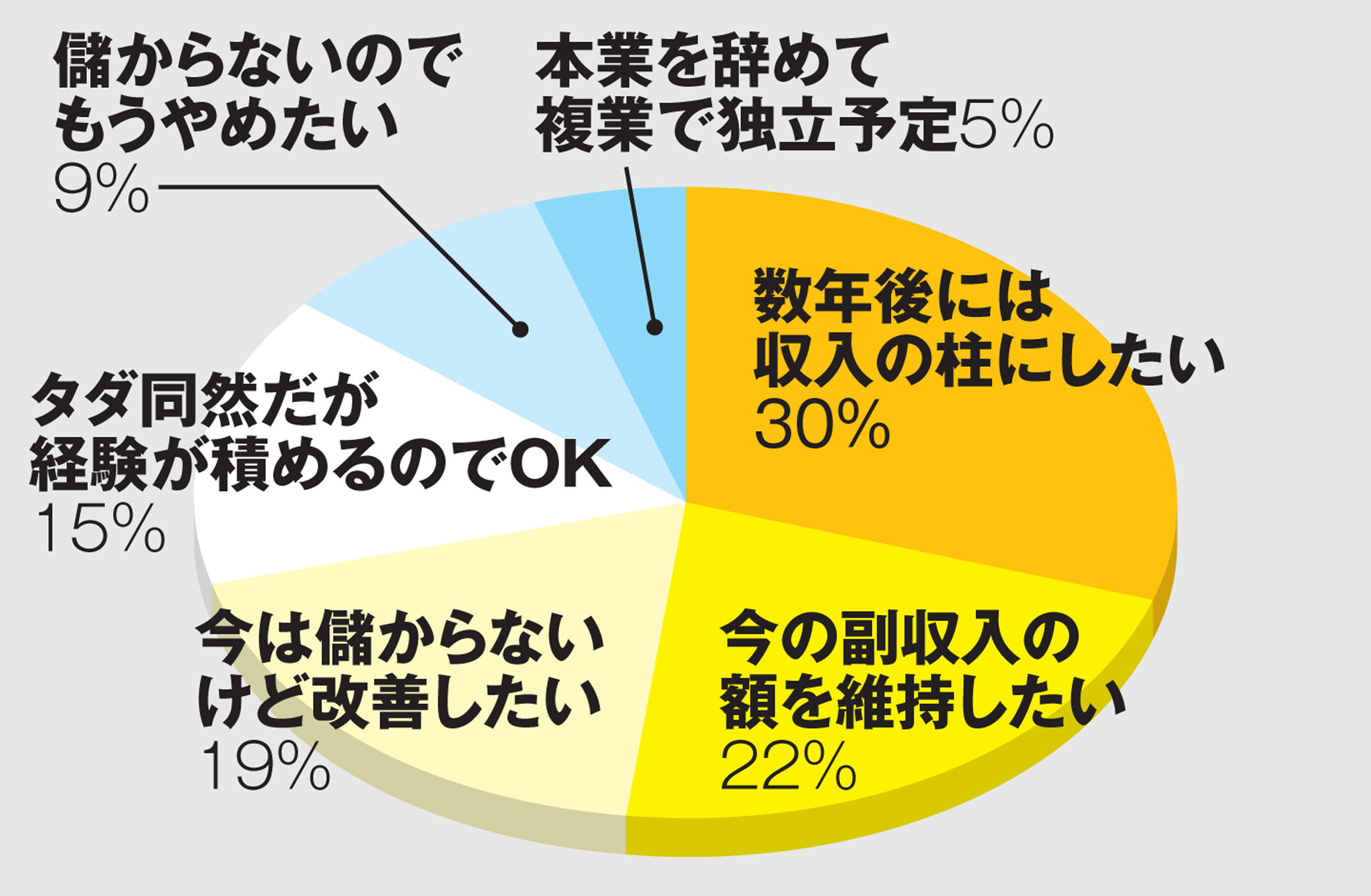 今やっている複業の将来的な展望は？