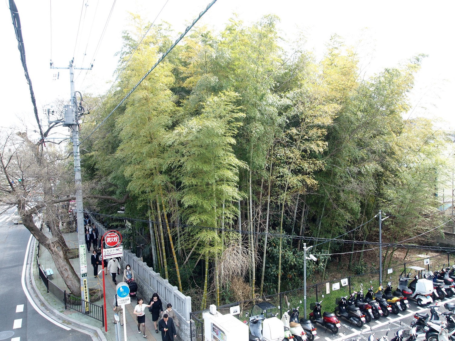 市川市の「八幡の藪知らず」