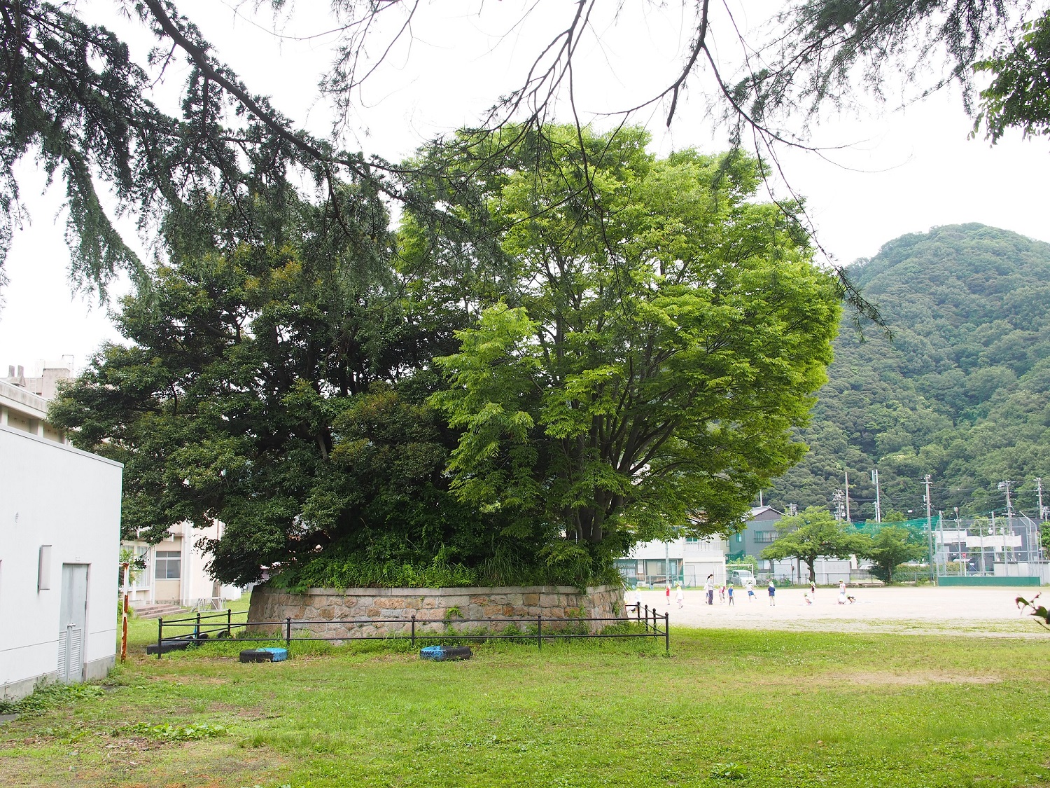 福井氣比神社の社叢