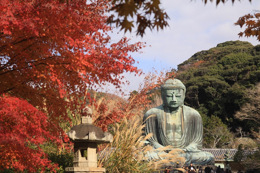 鎌倉大仏と紅葉（縮小）