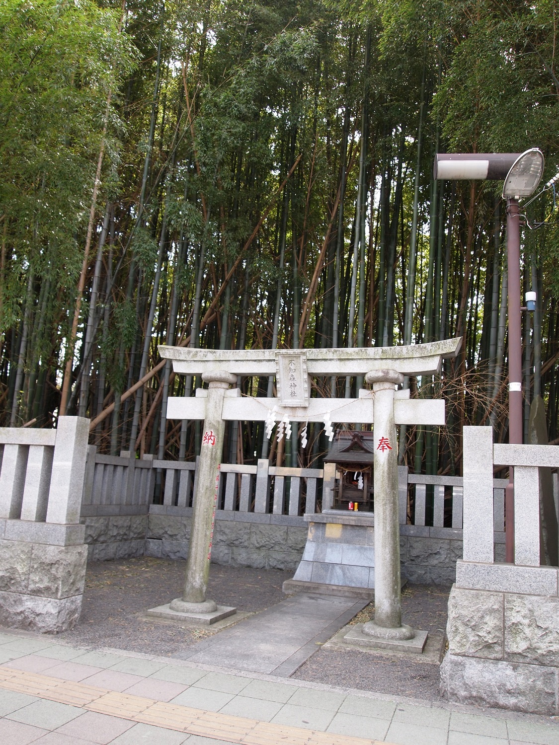 市川市の「八幡の藪知らず」