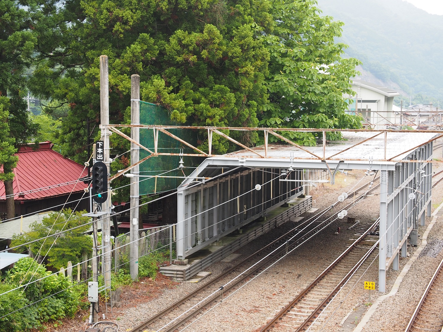 甲州市のホオノキ