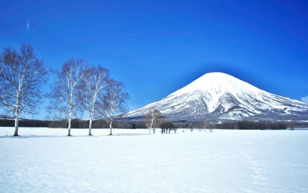 外国人に買われるヤバい土地