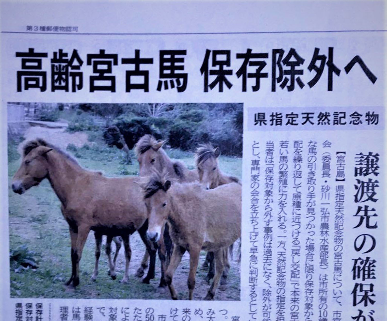 新聞記事