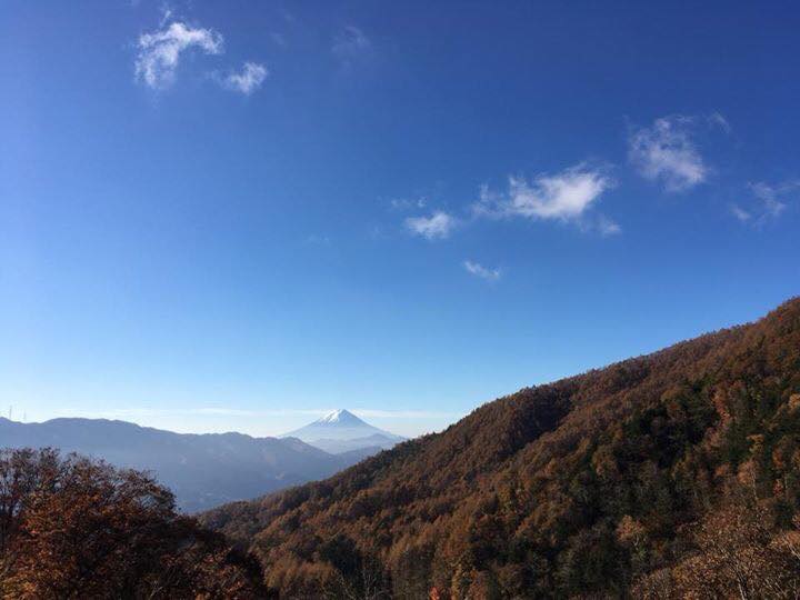 意外なものヒット予測