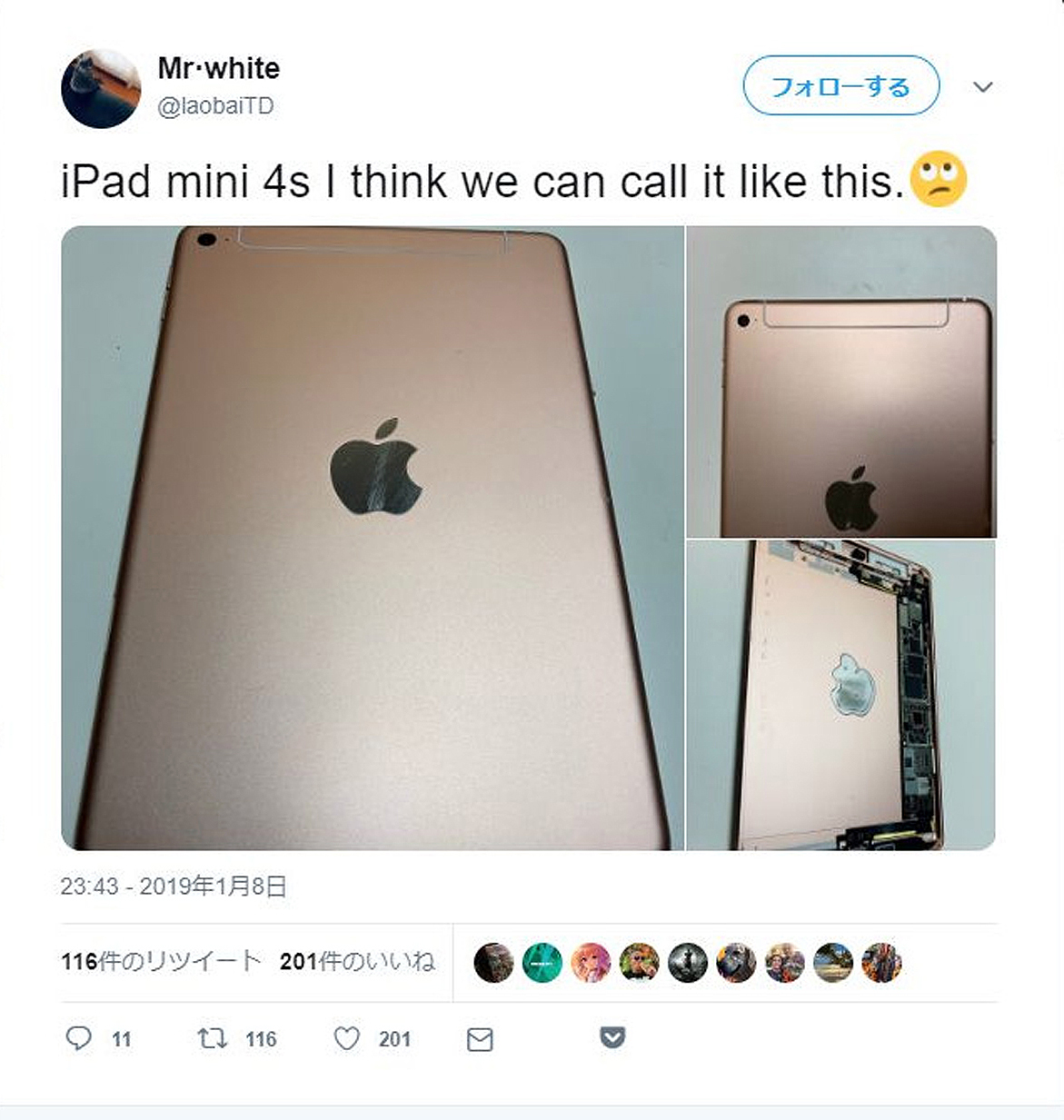 iPad mini 5