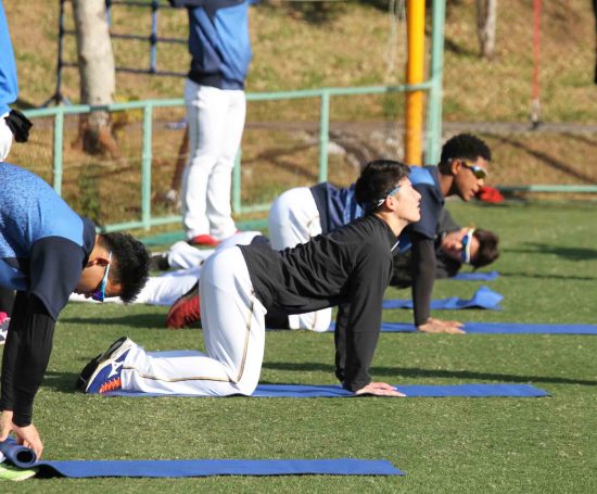 2019プロ野球キャンプ