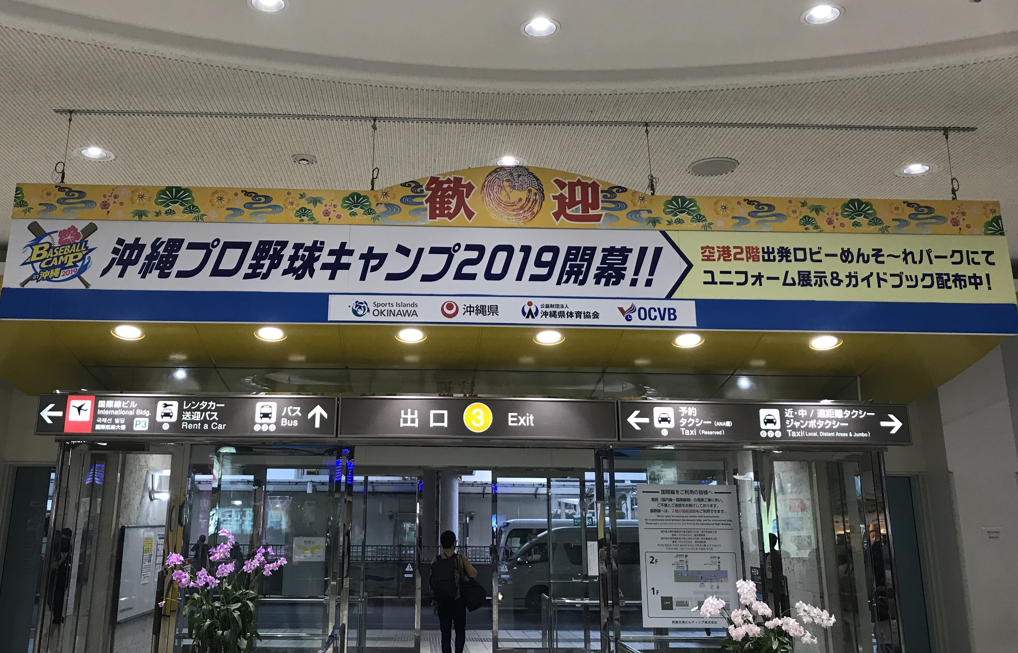 2019プロ野球キャンプドキュメント